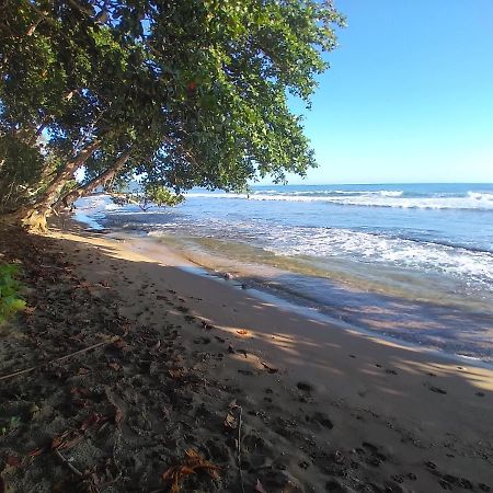 Escape Caribeno Hotel Puerto Viejo de Talamanca Kültér fotó