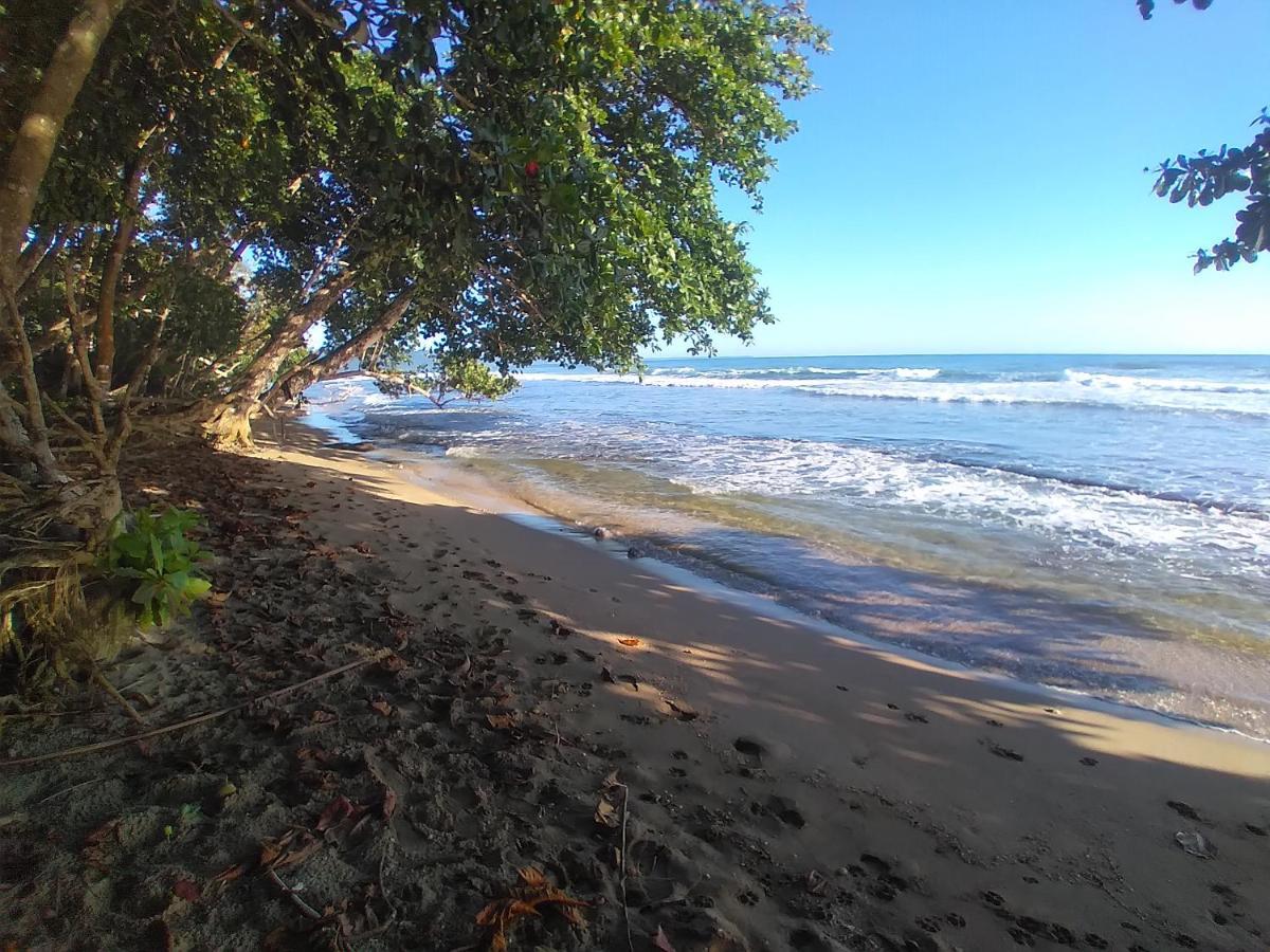 Escape Caribeno Hotel Puerto Viejo de Talamanca Kültér fotó