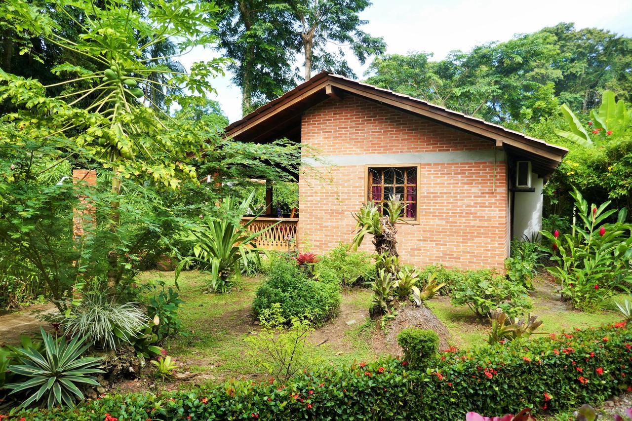 Escape Caribeno Hotel Puerto Viejo de Talamanca Kültér fotó