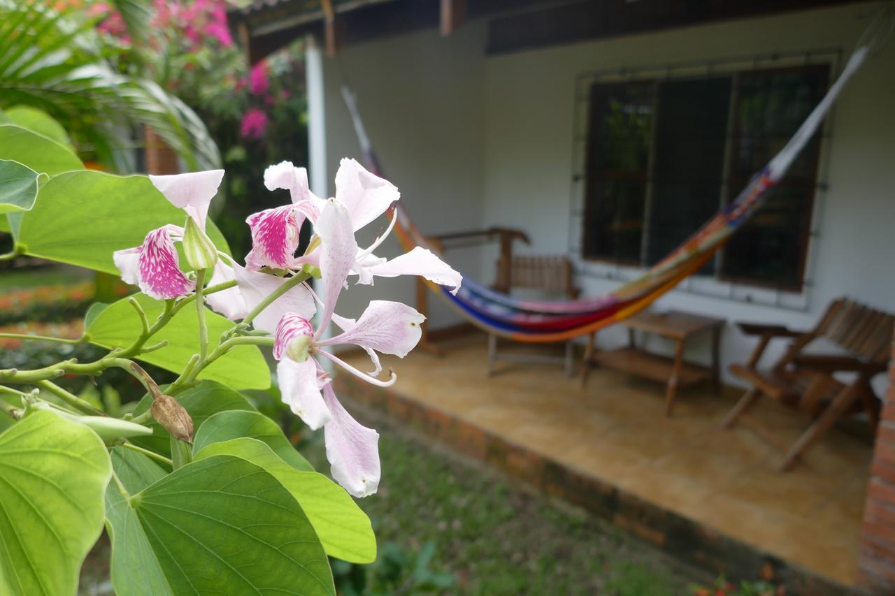 Escape Caribeno Hotel Puerto Viejo de Talamanca Kültér fotó
