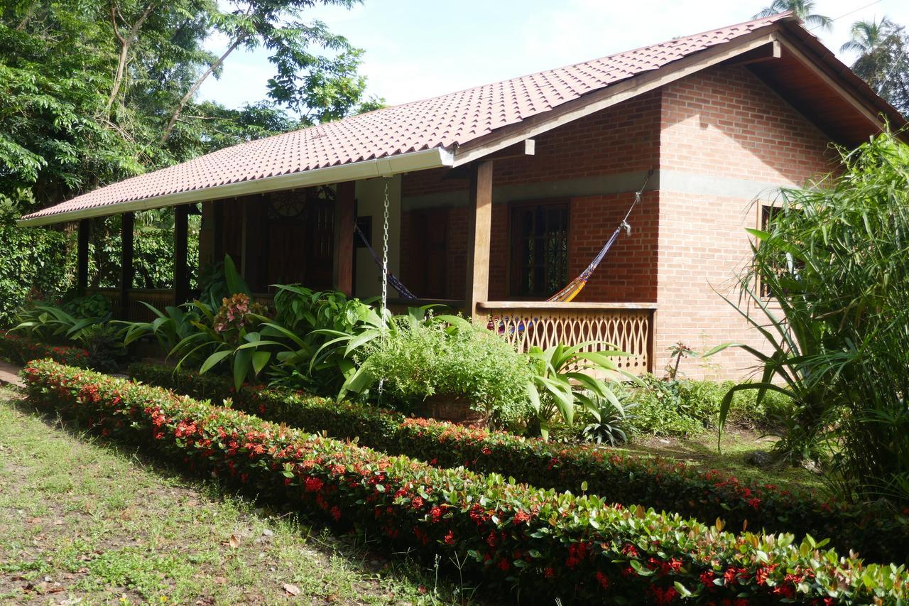 Escape Caribeno Hotel Puerto Viejo de Talamanca Kültér fotó