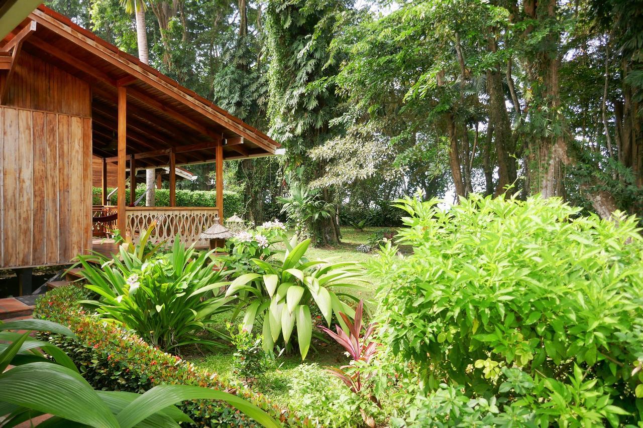 Escape Caribeno Hotel Puerto Viejo de Talamanca Kültér fotó