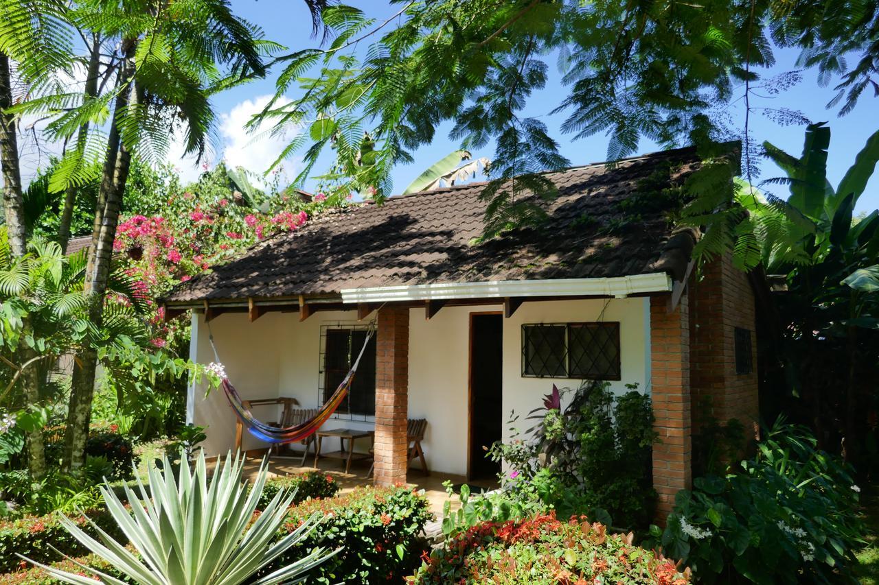 Escape Caribeno Hotel Puerto Viejo de Talamanca Kültér fotó