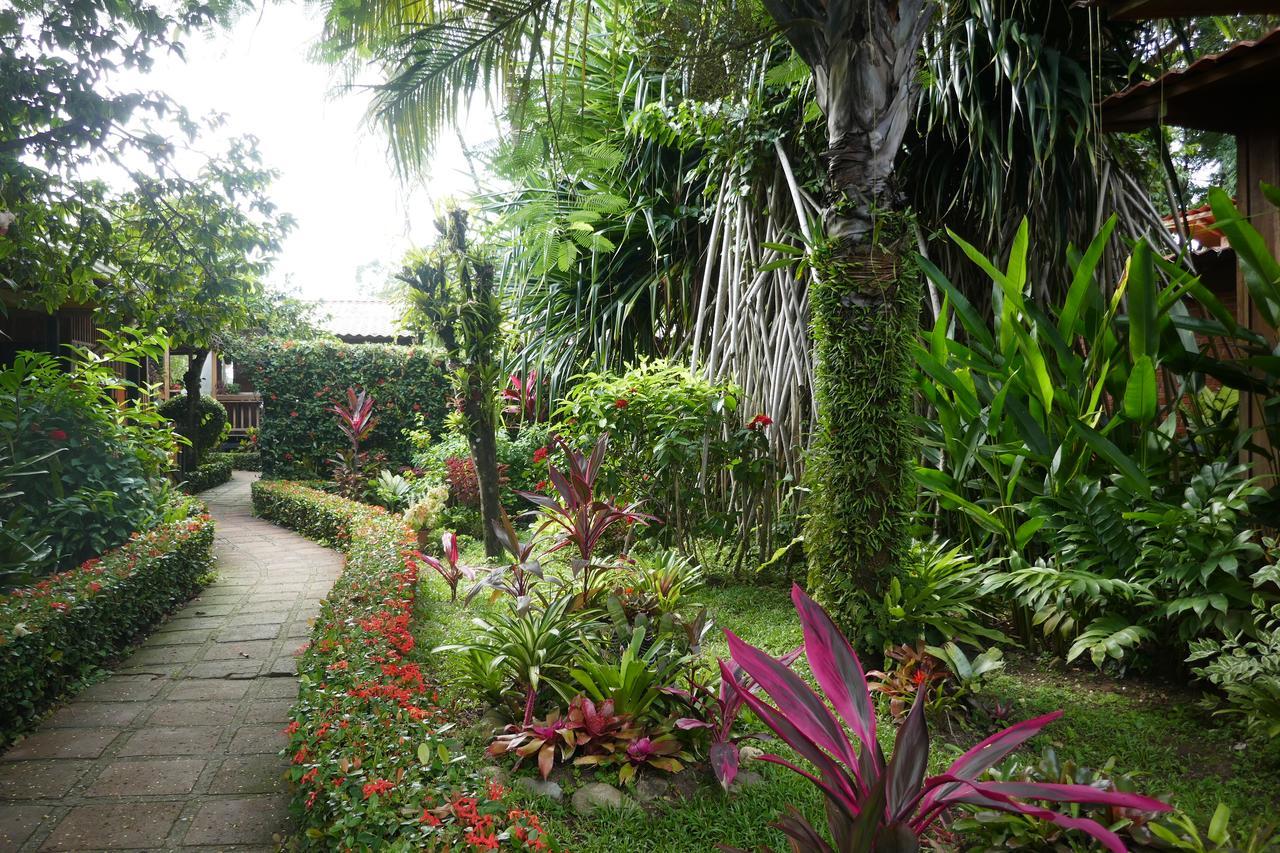 Escape Caribeno Hotel Puerto Viejo de Talamanca Kültér fotó