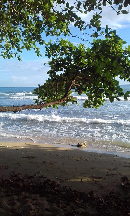 Escape Caribeno Hotel Puerto Viejo de Talamanca Kültér fotó